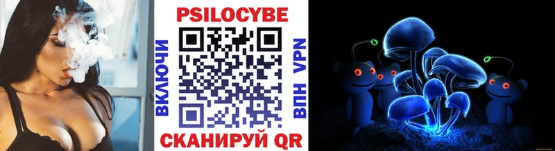 MEGA маркетплейс  Баймак  Псилоцибиновые грибы Cubensis 